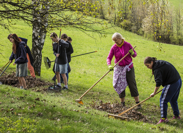 Hrabání loňské trávy – stařiny na botanické lokalitě nad Bolkovem. Foto: Kamila Antošová, Správa KRNAP