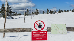 Uzavřené cesty jsou v terénu zřetelně označeny cedulí s doprovodným textem „Zákaz vstupu z důvodu ochrany přírody od 15. 3. do 31. 5.“ (foto: Kamila Antošová, Správa KRNAP)