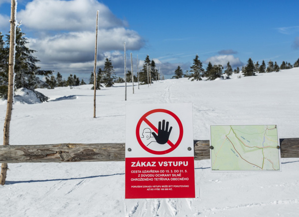 Uzavřené cesty jsou v terénu zřetelně označeny cedulí s doprovodným textem „Zákaz vstupu z důvodu ochrany přírody od 15. 3. do 31. 5.“ (foto: Kamila Antošová, Správa KRNAP)